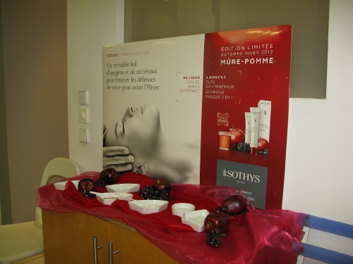 PURITY invites SOTHYS 30.11.2012_16
